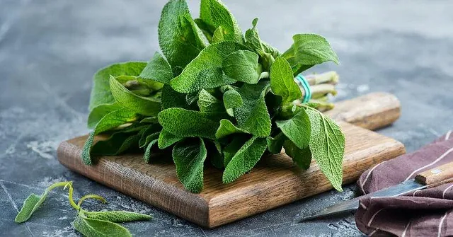 Prosjektbilde, nybygg Holmenveien